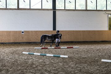 Bild 32 - Pony Akademie Turnier